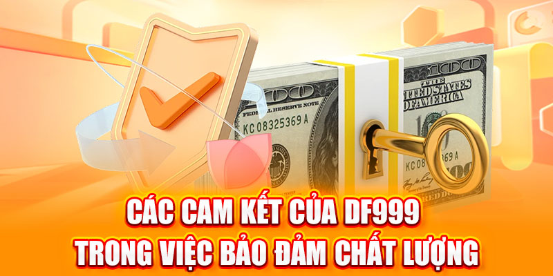 giới thiệu DF999